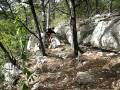 videos de Dale, Frank, Mike - Top of Jedi Trails