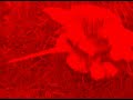I\