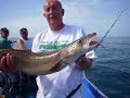 Shrek goes Fishing Shrek goes Fishing