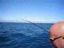 Shrek goes Fishing Shrek goes Fishing