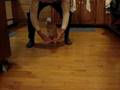 Max the cat jumps for his found (Round II)