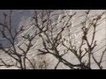 Christopher Helberg segment _ heybaperiba 06