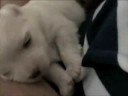 Eloise - 2 Weeks