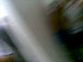 videos de Celebración Cava Porta 3 - Banyeres 2.mp4