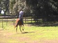 Daddy's Expectations Under Saddle 30 days Daddy's Expectations Under Saddle 30 days
