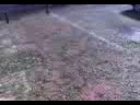 Canillejas el día después del granizo. Toda la acera, por ejemplo el tramo entre Lucano y Canal de Bósforo portales 54 y demás, todo lleno de miles de hojas.
