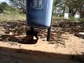 a vida dos felinos