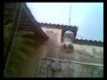 Duelo Animal-O Bebedouro da Disc�rdia 1