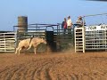 Lot #2357 - Coming 2yr Old Bucking Bull - Video 1 of 2 Lot #2357 - Coming 2yr Old Bucking Bull - Video 1 of 2