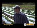 Meet the Farmer: Patrick DeYoung, Blue Moon Organics