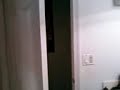 funny shit