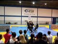 1 avd ginastica geral 1/per/2sem   unifoa 2007   os felinos