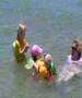 Sweet Escape - Palm Cove 2006
