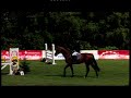 Canstakko Bundeschampionatsqualifikation in Elmlohe