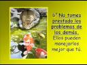 10 tips importantes para la vida