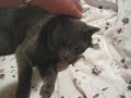 Burnsy cuddling Burnsy cuddling