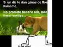 lloro por ti