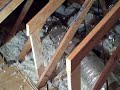 Are Your Roof Trusses Supporting Properly? Are Your Roof Trusses Supporting Properly?