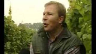 Vendanges 2005