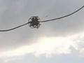 UFO Warwick slow mo.
