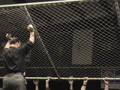 CWF Mid-Atlantic Wrestling : Ultimate Survivor VI Open 11/15