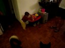 Frankie and oli playing