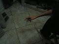 Infinity perform
