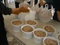 www.nusayriforum arap alevileri nusayri  herise