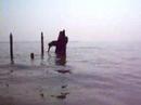playboat playboat