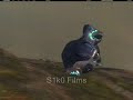 Halo 3 - A Ride With The Phantom
