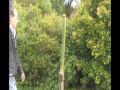 Hanwei Mortuary Hilt Sword Tests