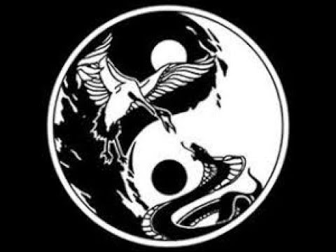 Aikido vs Wing Chun sparring3P. Спарринги. 12.06.18 Aikido vs Wing Chun sparring3P. Спарринги. 12.06.18
