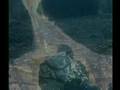 videos de WhatWhy - RED SPACE CYROD