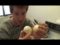 How I lost 8 Kilos!  (18 pounds) Video