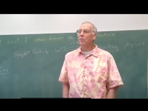 Math Science Lectures in Honor of Raoul Bott: Michael Freedman: The Universe from a single particle