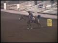 Derek Cowboy of the Month Barrel Racer and racing