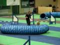 videos de ÅÄck Agility 22-23.1122008
