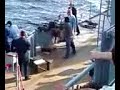 Shooting 25MM anti aircraft gun
