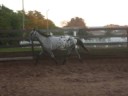 Lunging Buck ;D Lunging Buck ;D