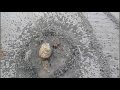 re: Snake River Snake  Dirt Snake instant-art Old-Port Montreal Boucrate Music/Art/Video