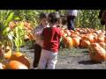 Pumpkins.m4v