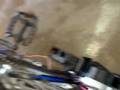 videos de Car Horns in Bathroom