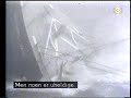 Ship sinks after collision