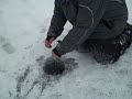 VID00044.MP4