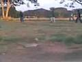 videos de futbolistas..