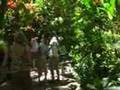 Marigot Bay St Lucia