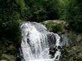TRABZON SURMENE ORMANSEVEN