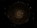 diy cymatics waterdub diy cymatics waterdub