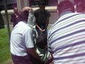 TITULACION DE ANDRES ARANCIBIA PISCINAZO UTFSM