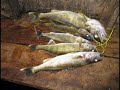 Mille-Lacs-Slip-Bobb
